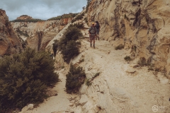 West Rim Trail
