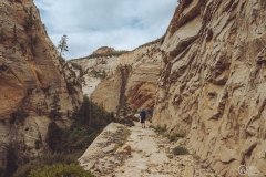 West Rim Trail