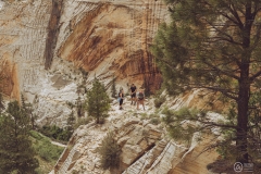 West Rim Trail
