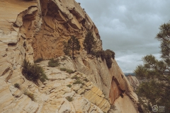 West Rim Trail