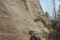 West Rim Trail