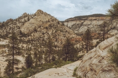 West Rim Trail