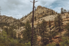 West Rim Trail