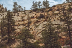 West Rim Trail