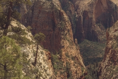 West Rim Trail