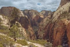West Rim Trail
