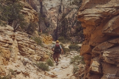 West Rim Trail