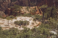 West Rim Trail
