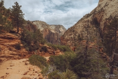 West Rim Trail