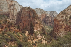 West Rim Trail