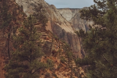 West Rim Trail