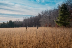 William O'Brien State Park