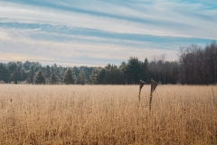 William O'Brien State Park