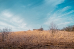 William O'Brien State Park