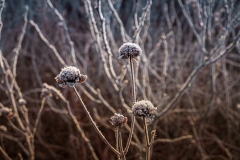 William O'Brien State Park