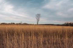William O'Brien State Park