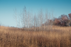 William O'Brien State Park