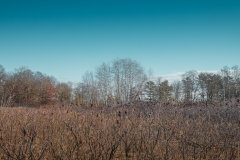 William O'Brien State Park