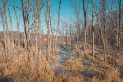 William O'Brien State Park