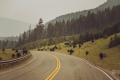 Chief Joseph Scenic Byway, Cody, Wyoming