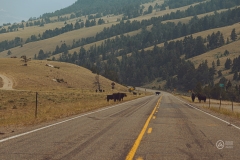 Chief Joseph Scenic Byway, Cody, Wyoming