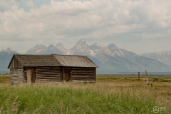 Mormon Row