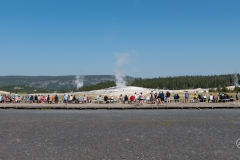 Old Faithful