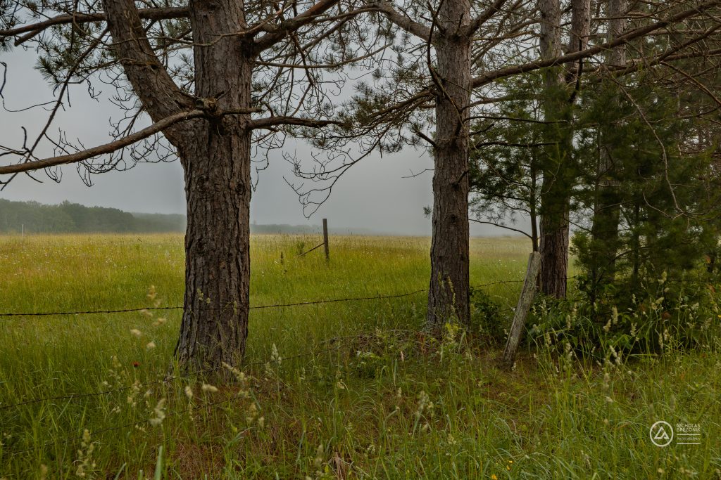 Wisconsin