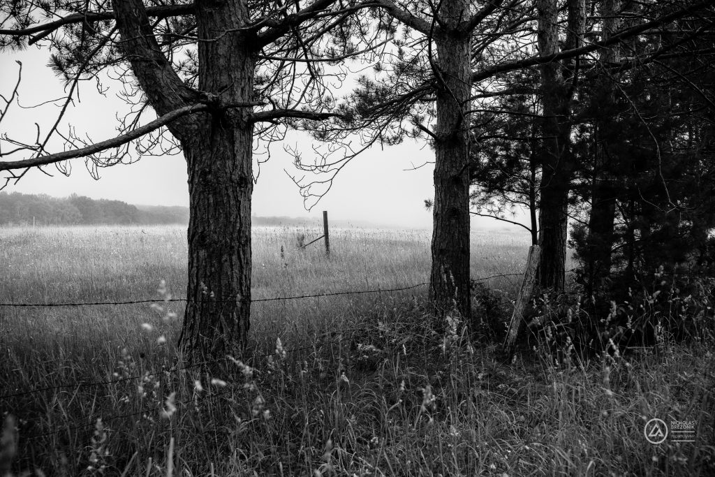 Wisconsin
