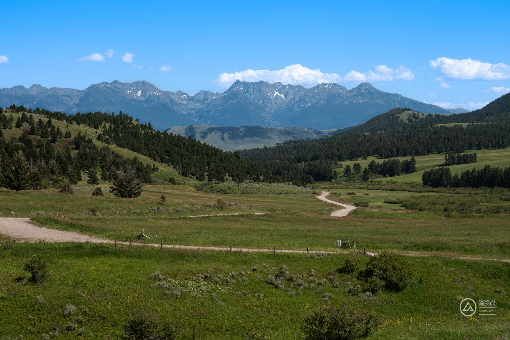Emmigrant Peak 