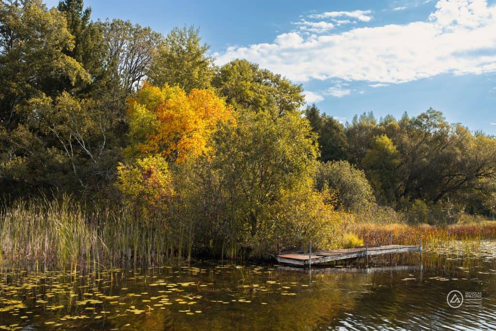 Gull Lake