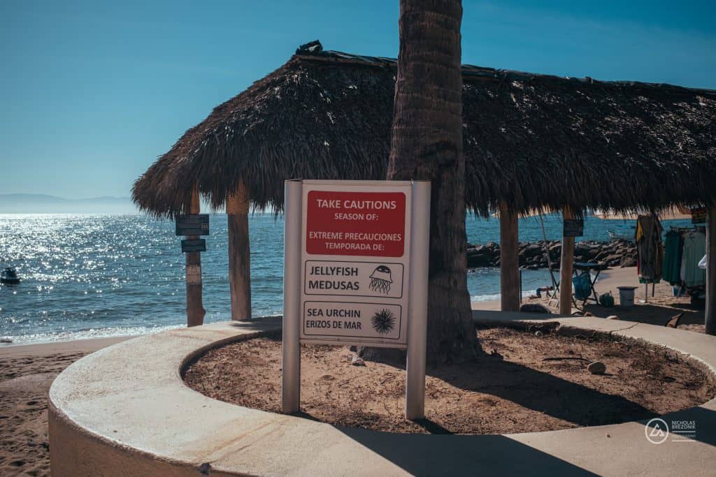 Puerto Vallarta