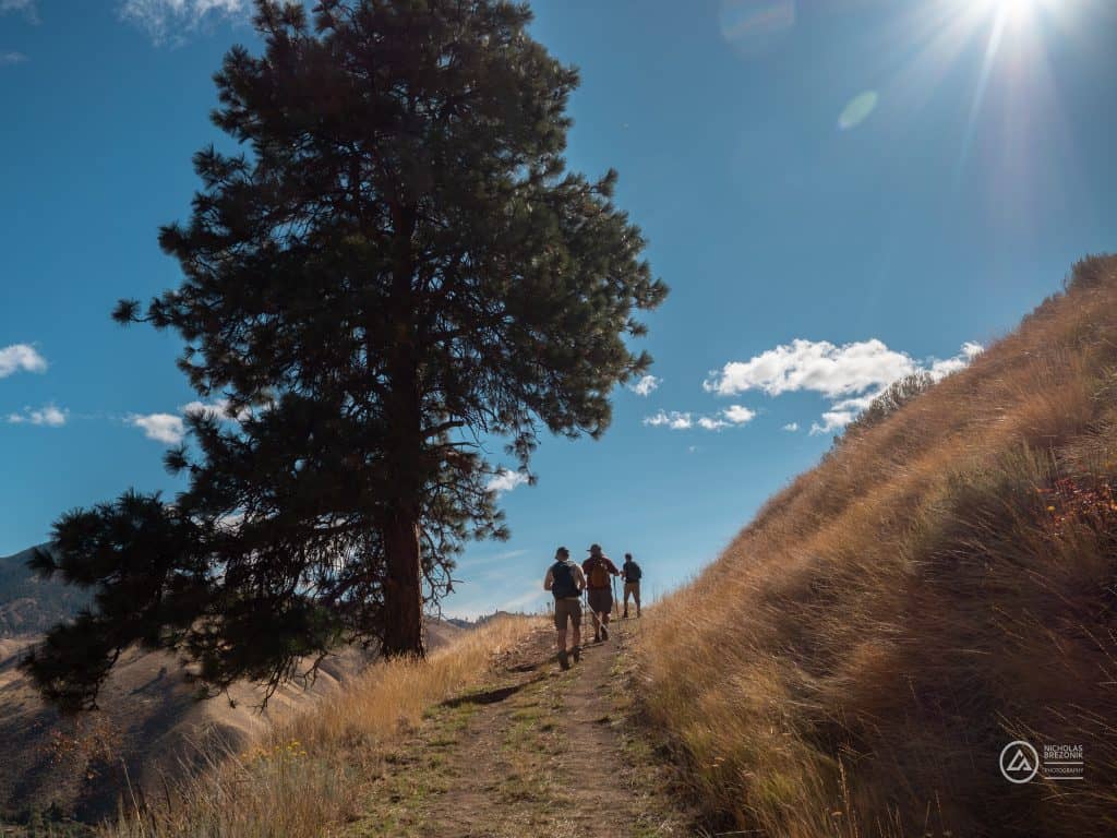 Cashmere Canyon
