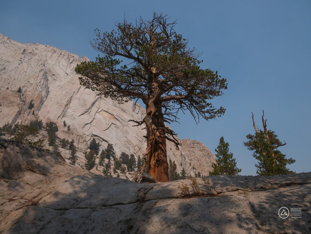 John Muir Trail 
