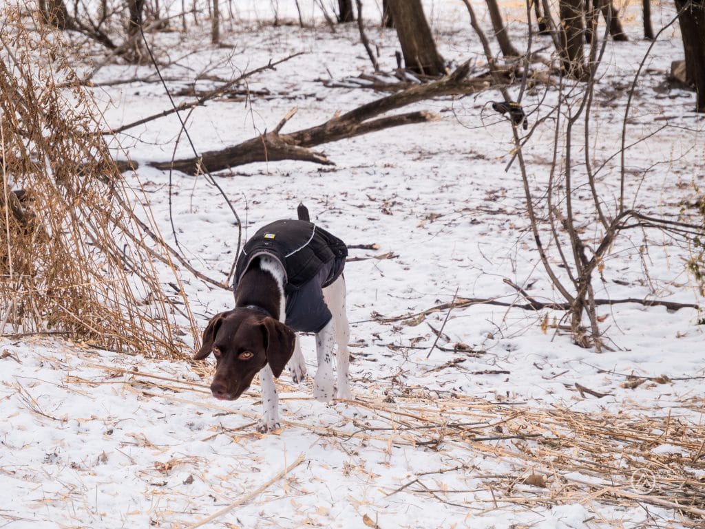 P1060545-Enhanced-NR.jpg