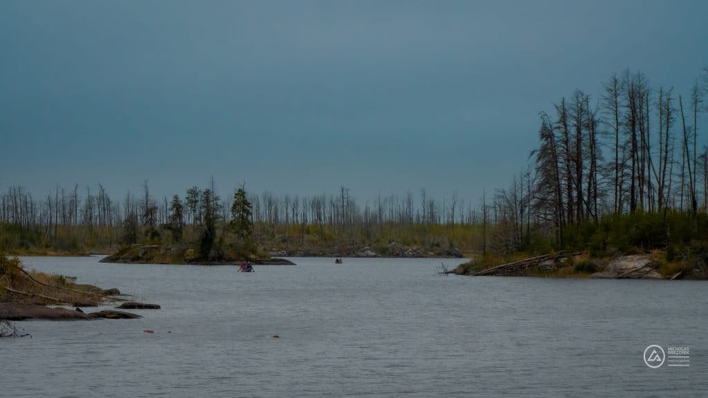 BWCA
