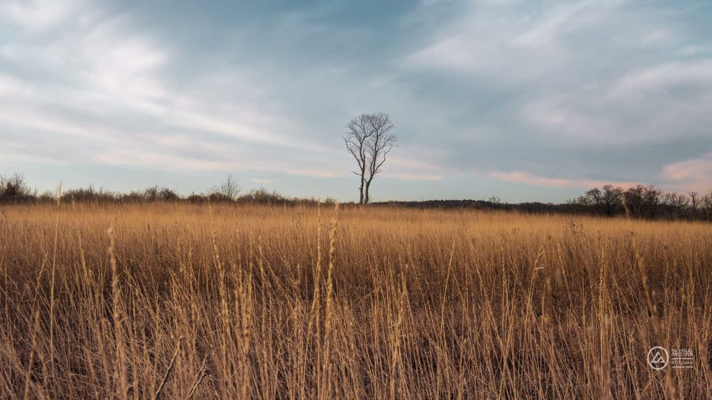 William O&#039;Brien State Park