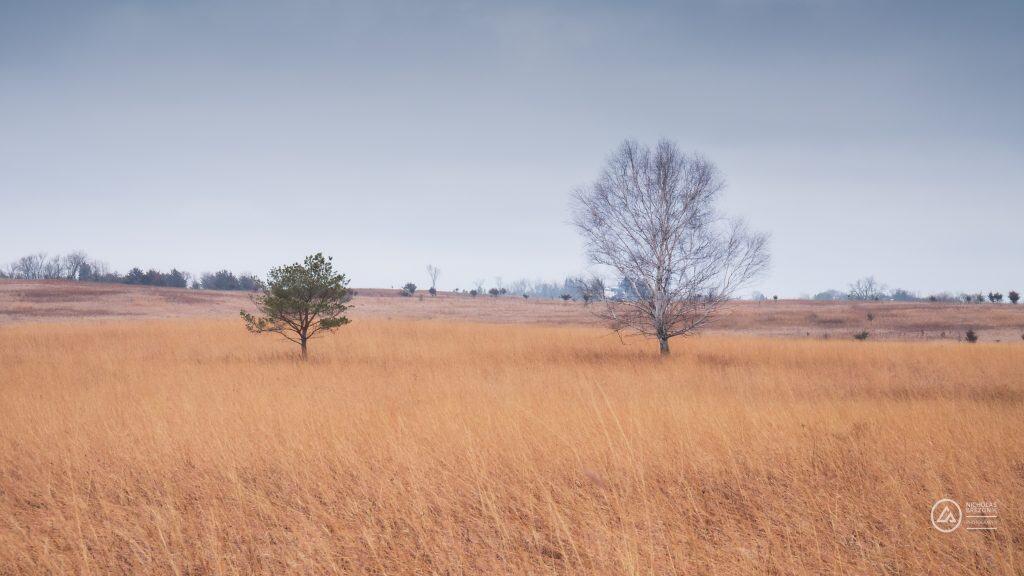 Afton State Park
