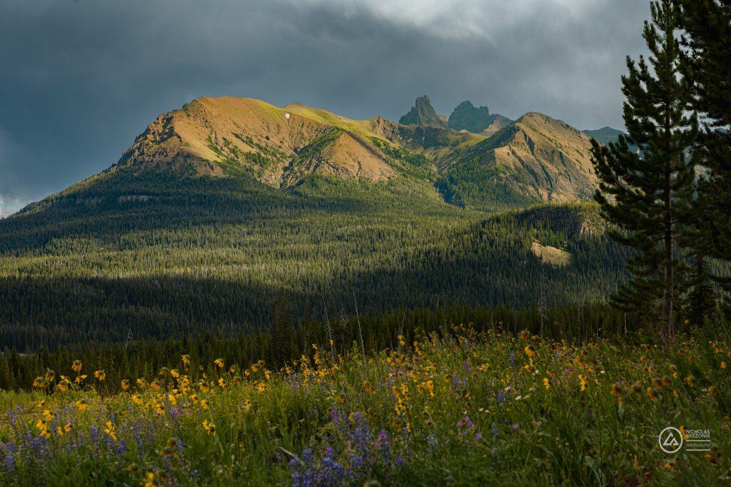 Index &amp; Pilot Peaks