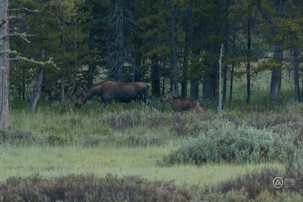 PANA0850.jpg