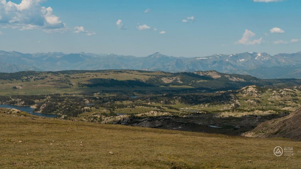 PANA1205.jpg