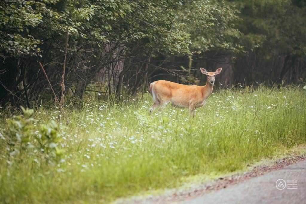 Wisconsin
