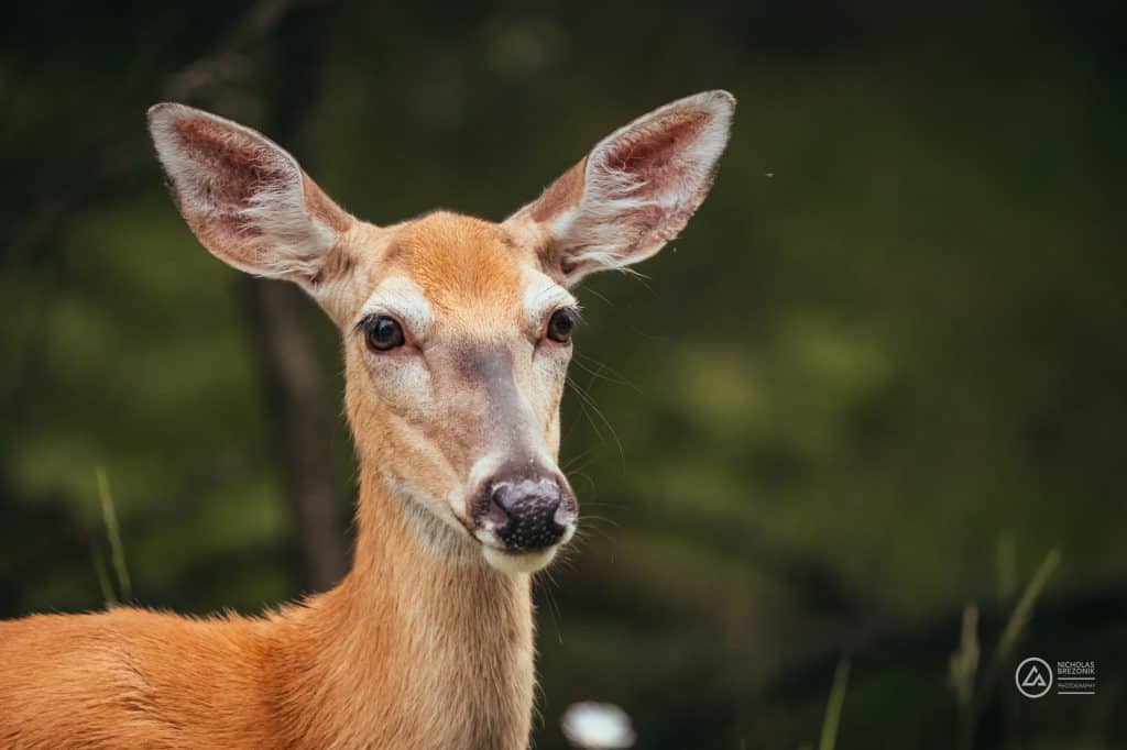 Wisconsin