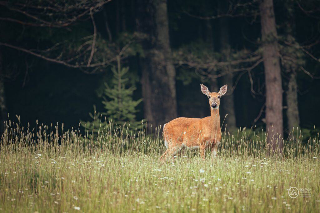 Wisconsin