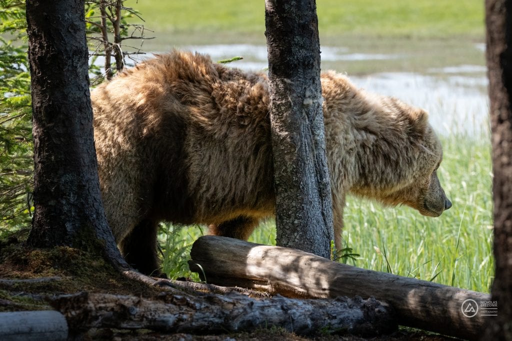 Lake Clark National Park