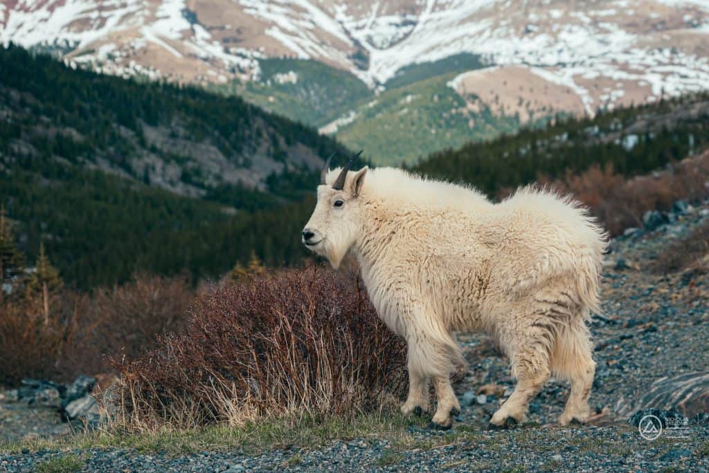 Colorado