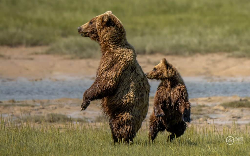 Lake Clark National Park