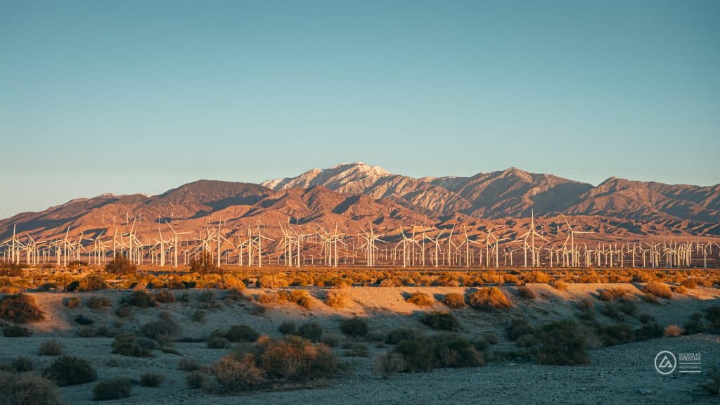 Palm Springs