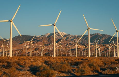 Palm Springs 2025