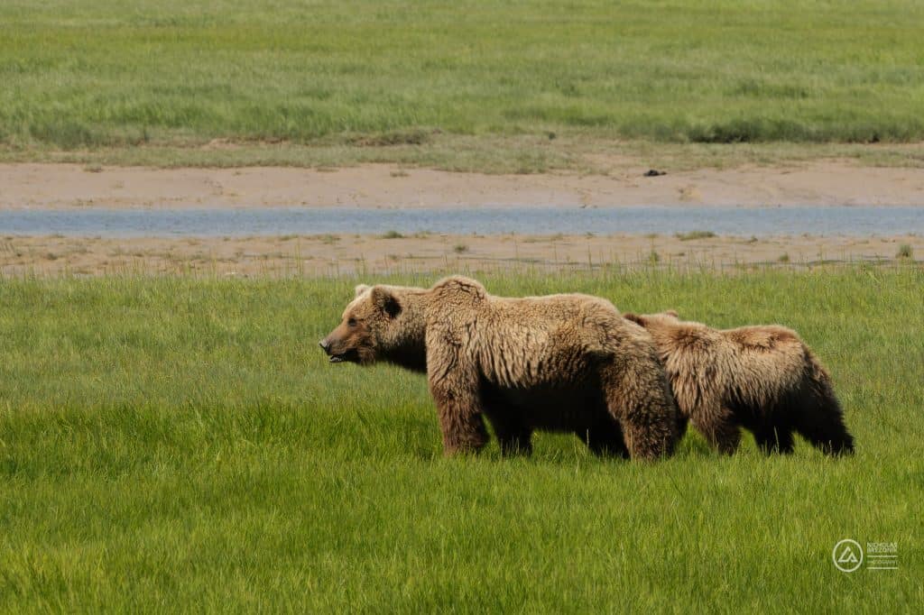 Lake Clark National Park